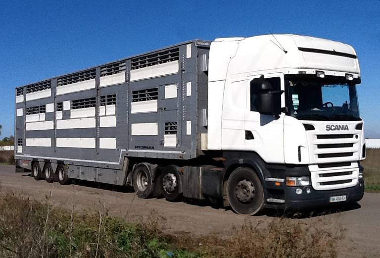 Прицеп для перевозки крупного рогатого скота из Россия, Пенза в Черногория, Златебор
