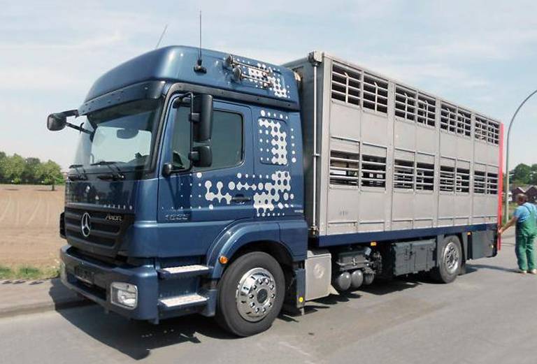 Заказать скотовоз для крупного рогатого скота из Азербайджан, Naftalan в Россия, krosnadar